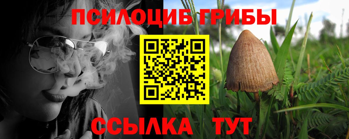 Галлюциногенные грибы мицелий  Вход с VPN  Красноярск 